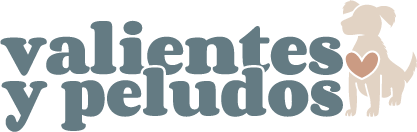 Non-profit Organization Logo